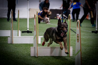 NSL/SW AGM Flyball Jan 18, 2020