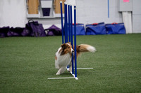 Schombert